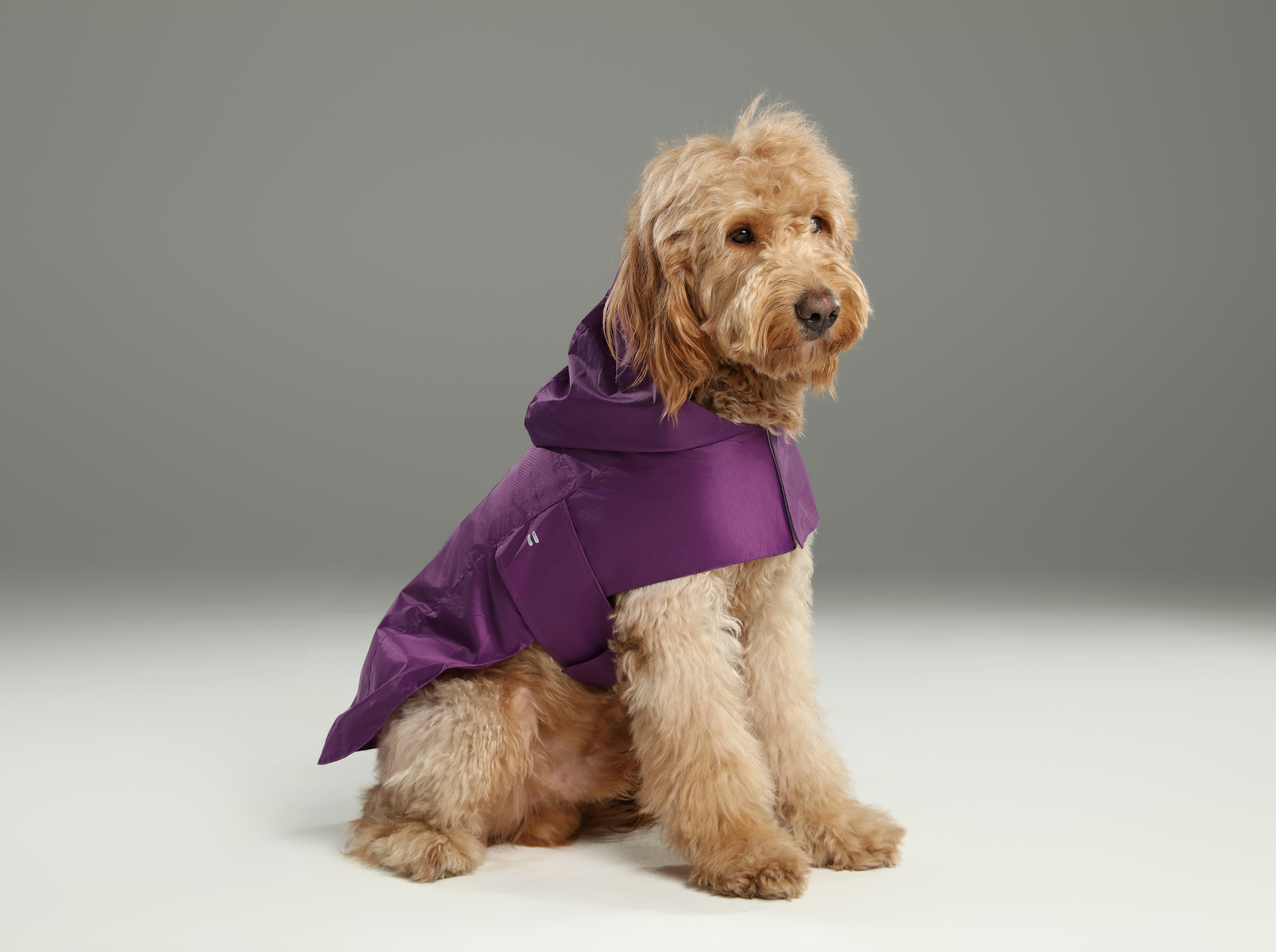 Capsule Raincoat-Purple
