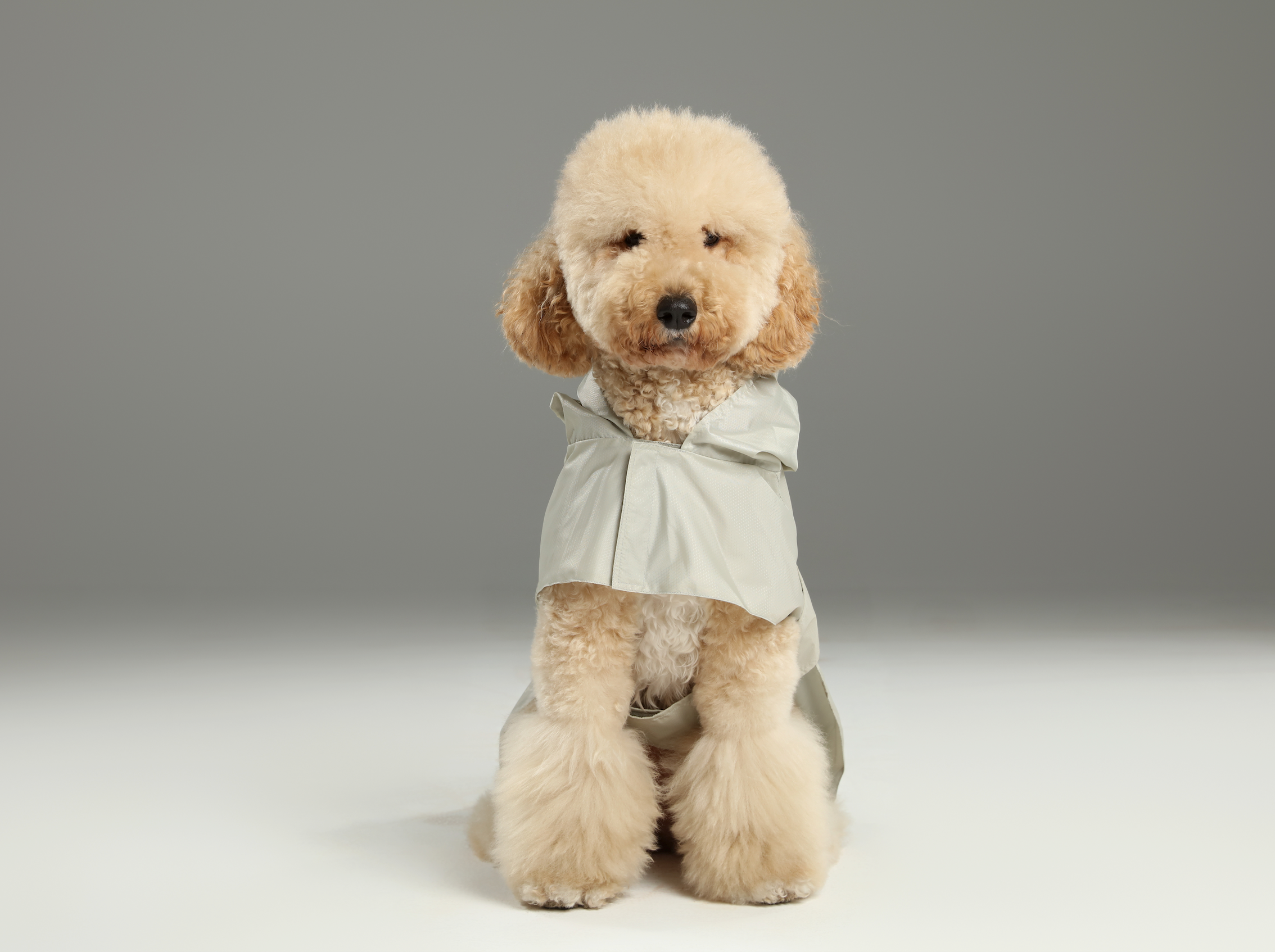 Capsule Raincoat-Beige