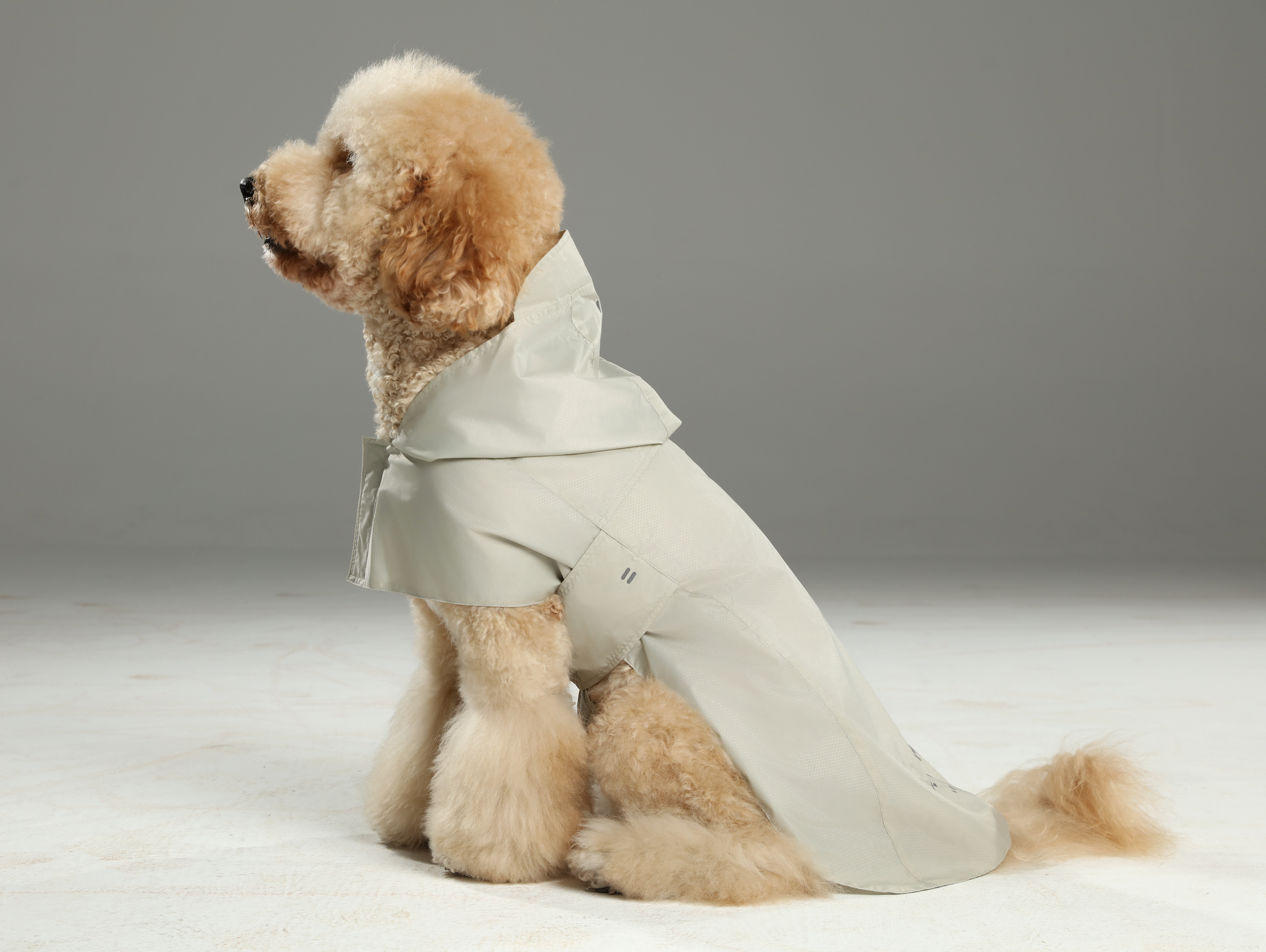 Capsule Raincoat-Beige