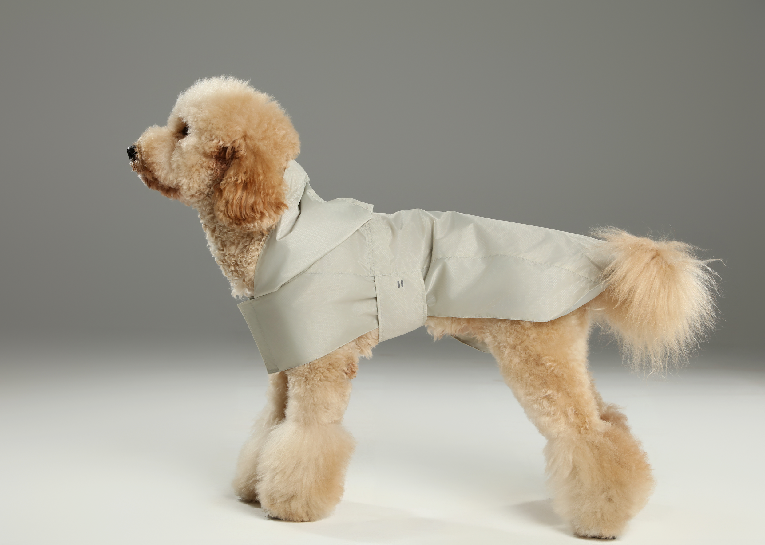Capsule Raincoat-Beige