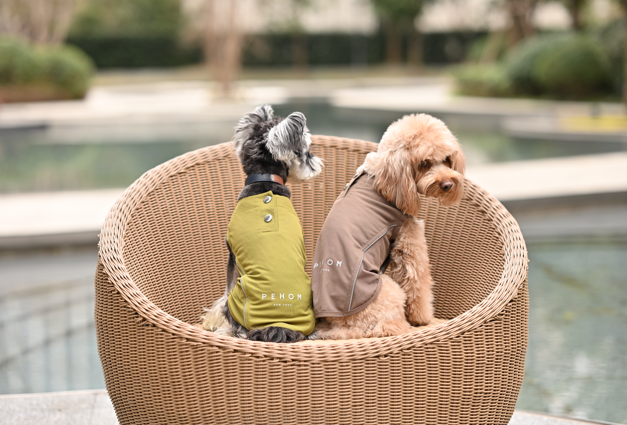 Chill Vest Shirt-Green | HT Animal Supply