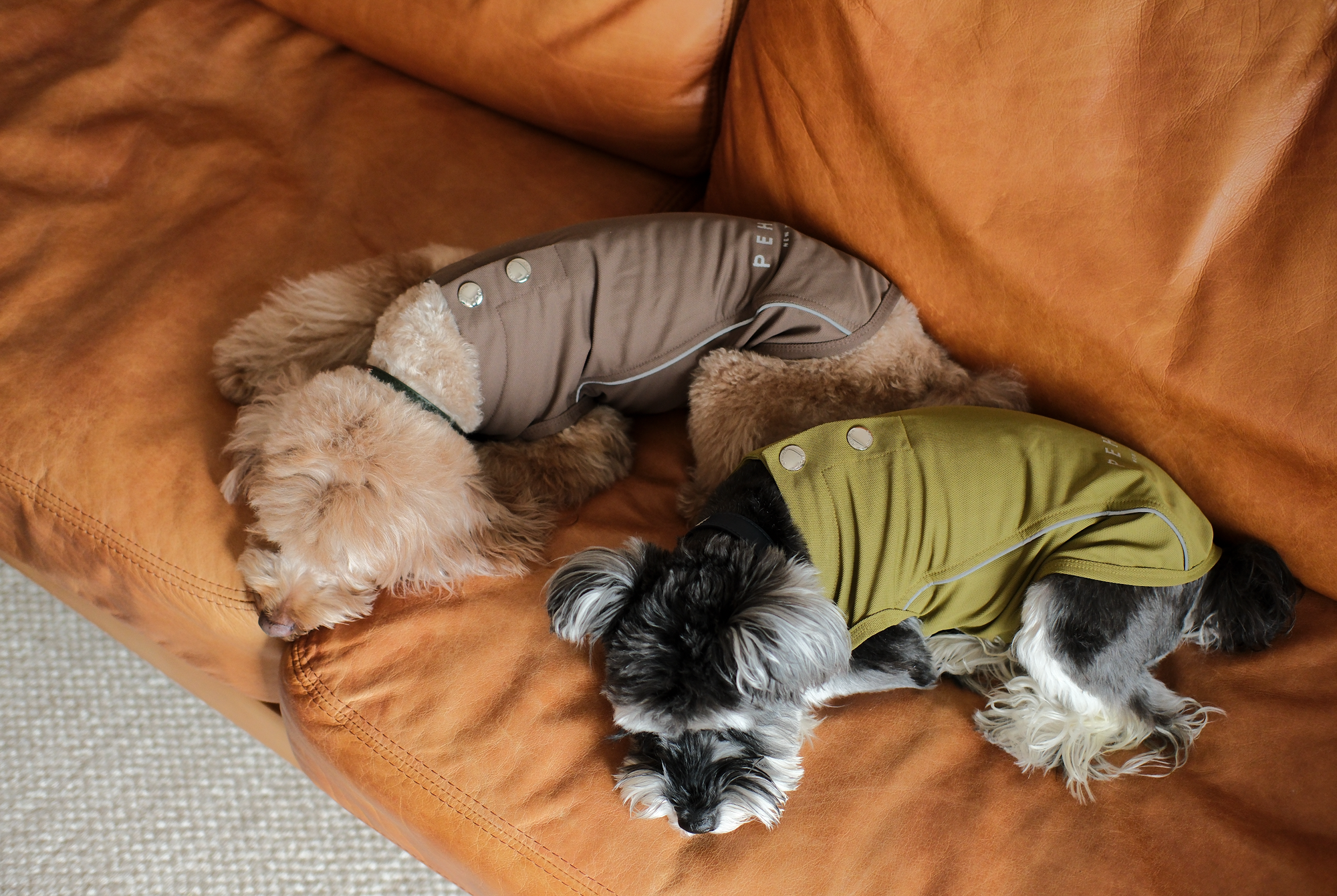 Chill Vest Shirt-Green | HT Animal Supply