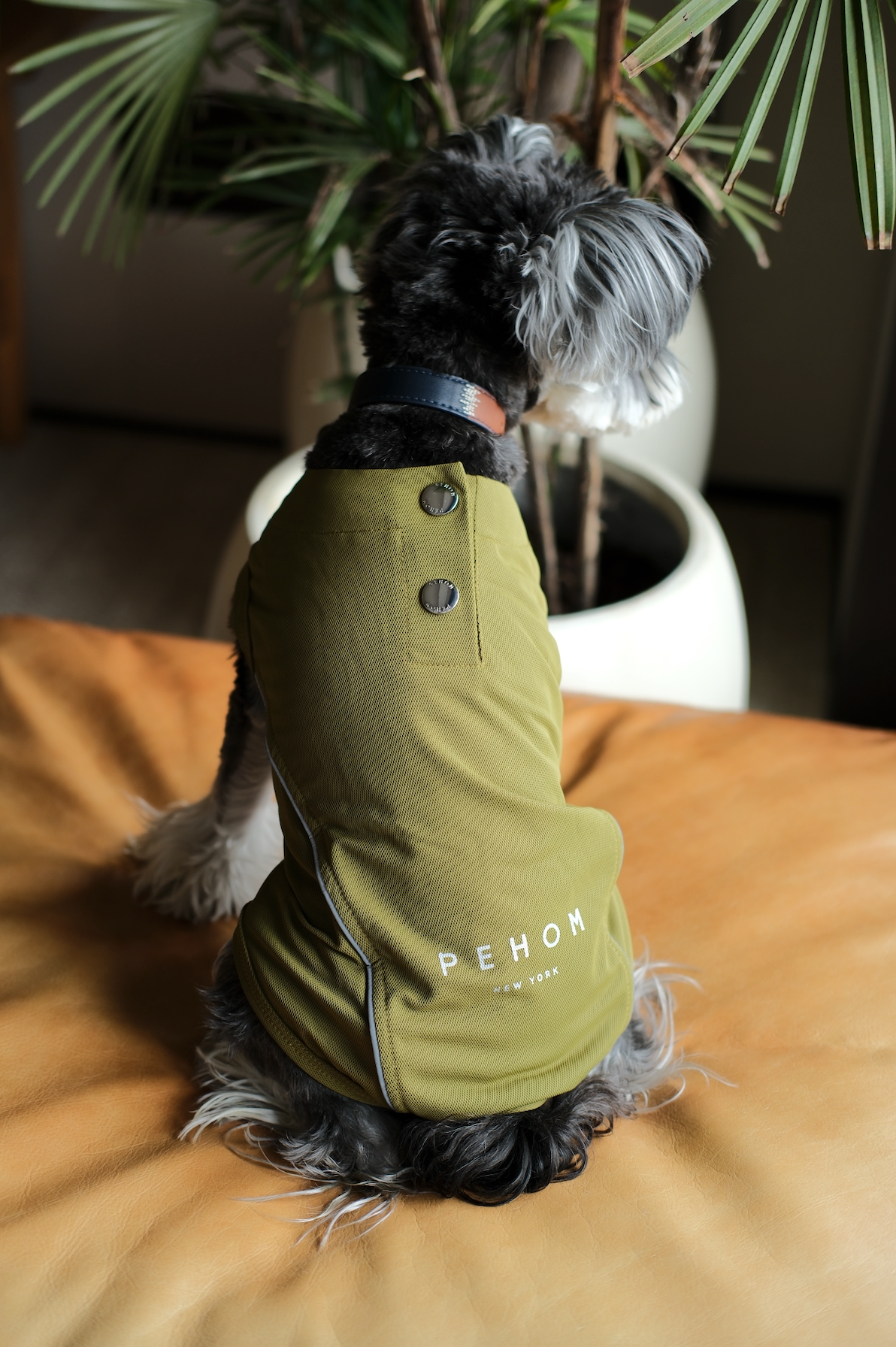 Chill Vest Shirt-Green | HT Animal Supply