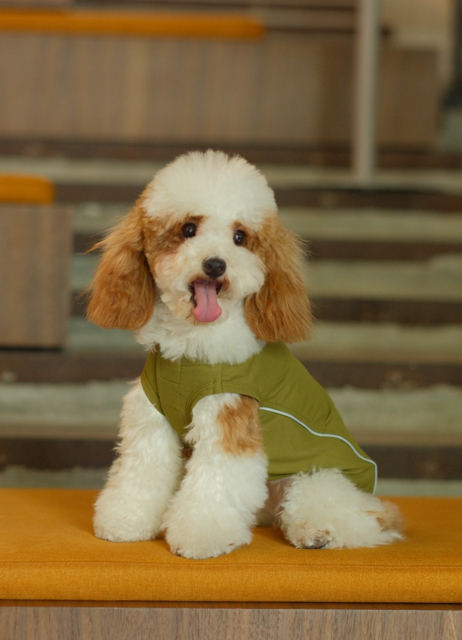 Chill Vest Shirt-Green | HT Animal Supply