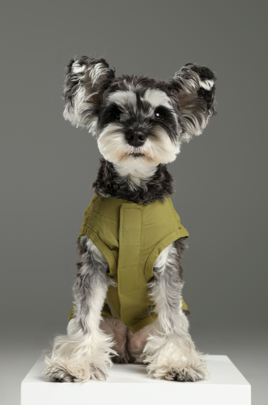 Chill Vest Shirt-Green | HT Animal Supply