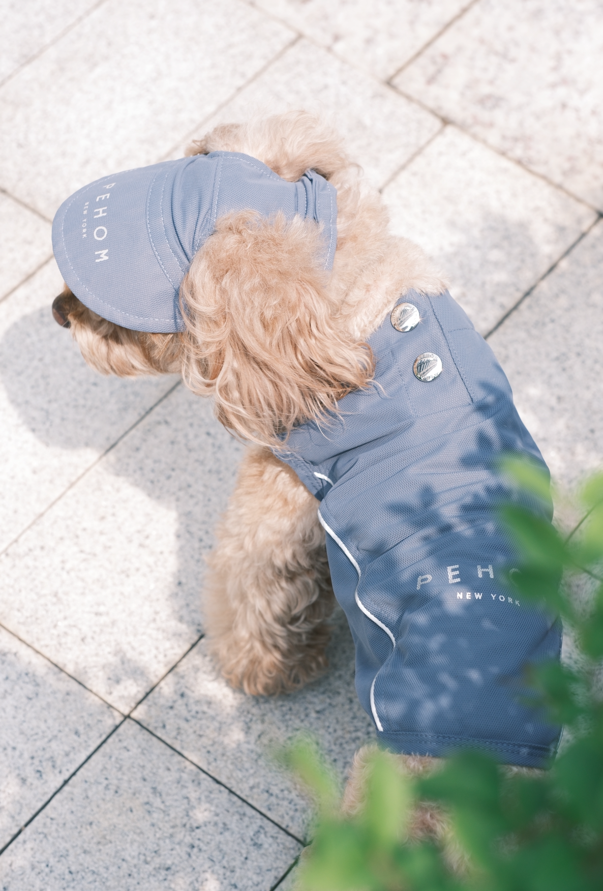 Tennis Hat-Blue
