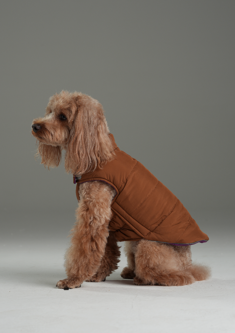 Reversible Dog Vest Jacket-Purple Caramel