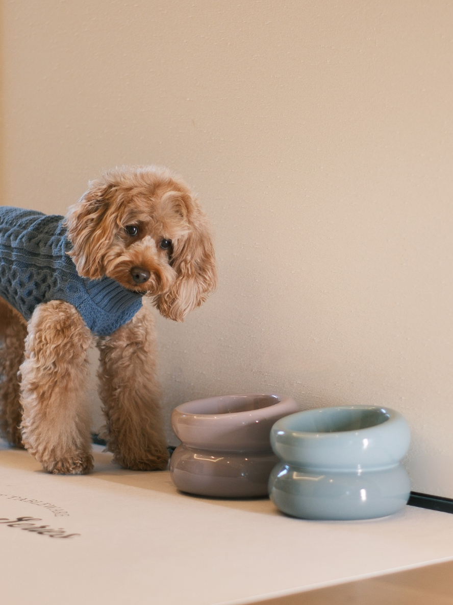 Souffle Pet Bowl-Frozen Blue