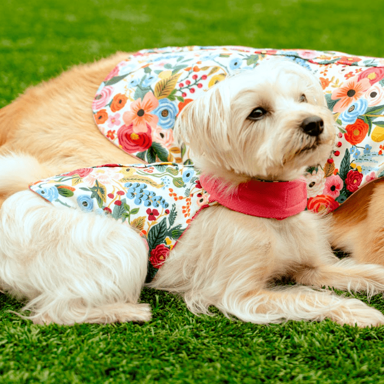 Heads or Tails Pup Floral Burst Cherry Blossom Pink Dog Harness