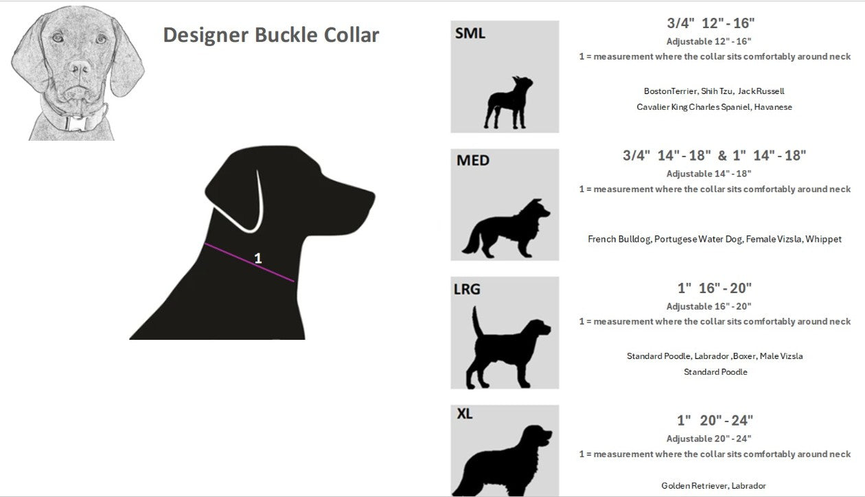 Bowsers Designer Buckle Collar Wrangler