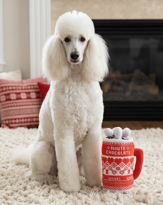 Haute Diggity Dog Holly Cup, Green Stars Bone, & Haute Chocolate Christmas Plush Dog Toy