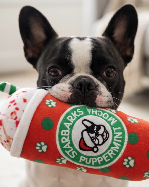 Haute Diggity Dog Haute Chocolate, Puppermint Mocha, & Dog Nog Christmas Plush Dog Toy