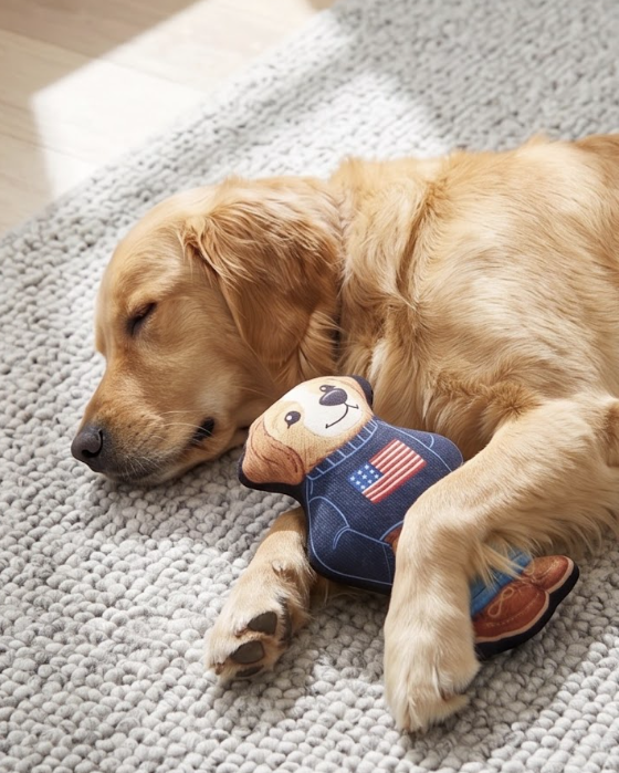 Haute Diggity Dog Ruff Lauren Teddy Dog Toy