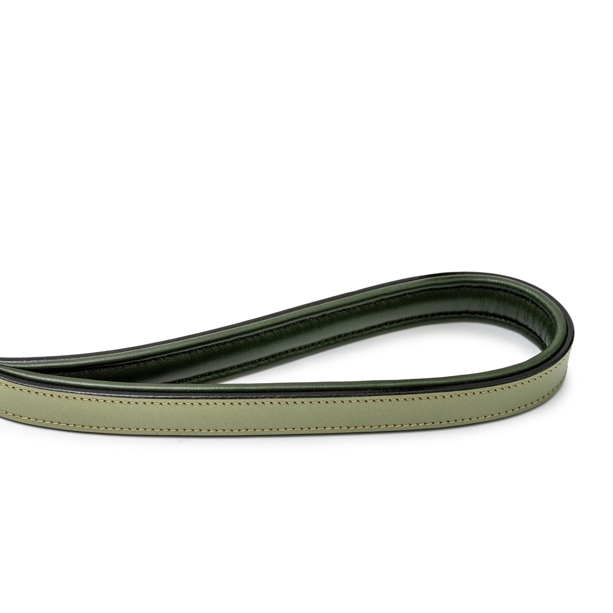 Sea Glass Leather Dog Leash