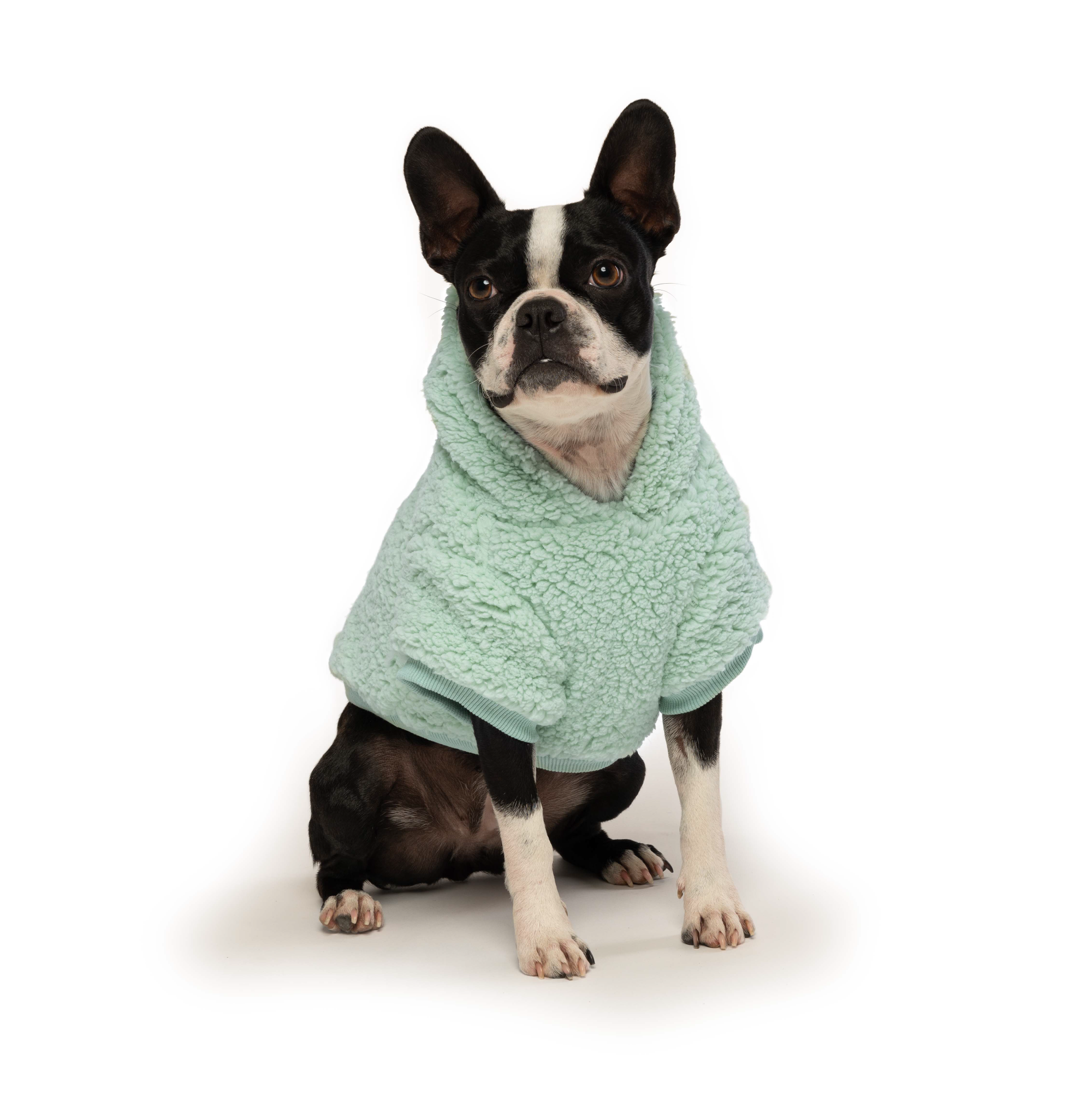 Seafoam Sherpa Hoodie 