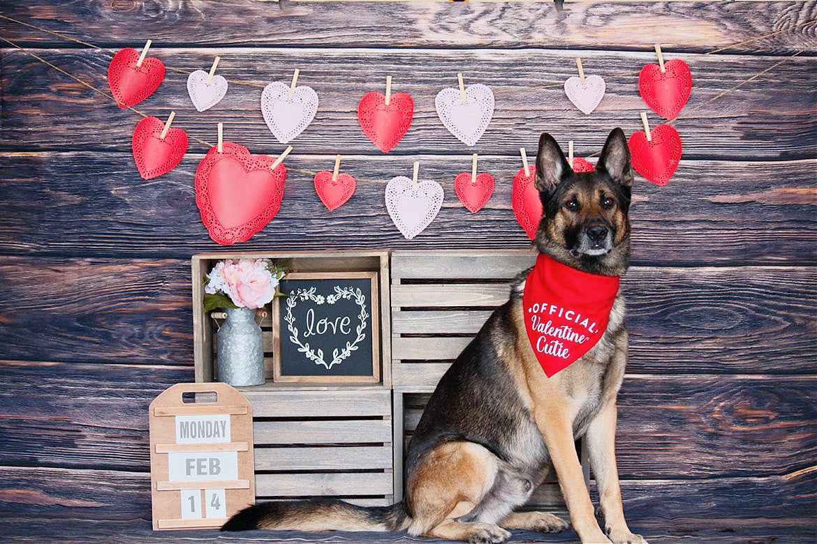 Official Valentine Cutie Red