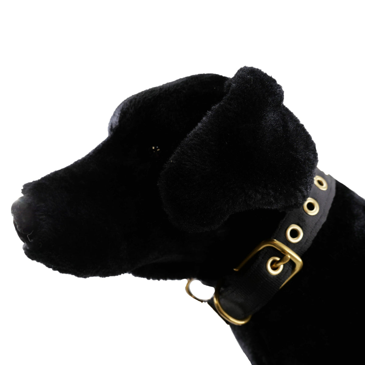 American Dog Seatbelt Dog Collar