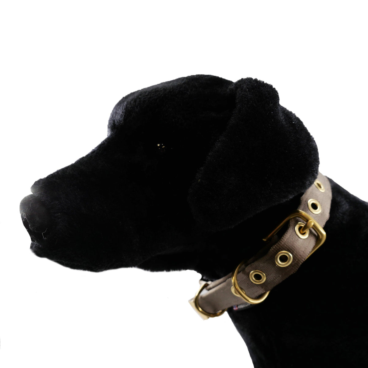 American Dog Seatbelt Dog Collar