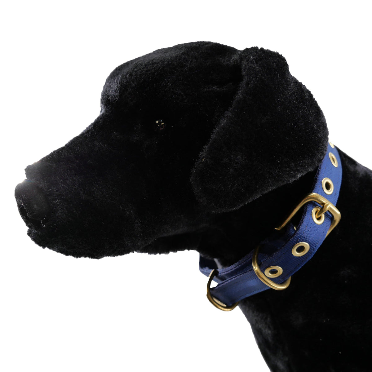 American Dog Seatbelt Dog Collar