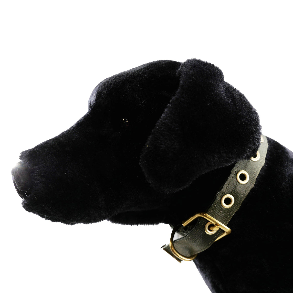 American Dog Seatbelt Dog Collar