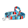 Up Country Serape Stripe Printed Cast Brass Dog Leash