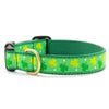 Up Country Shamrock Cast Brass Dog Collar