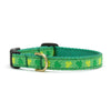 Up Country Shamrock Small Breed Dog Collar Made in USA