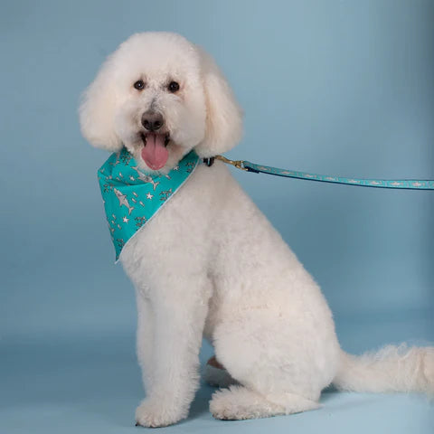 Shark Pet Bandana