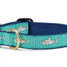 Shark Dog Collar