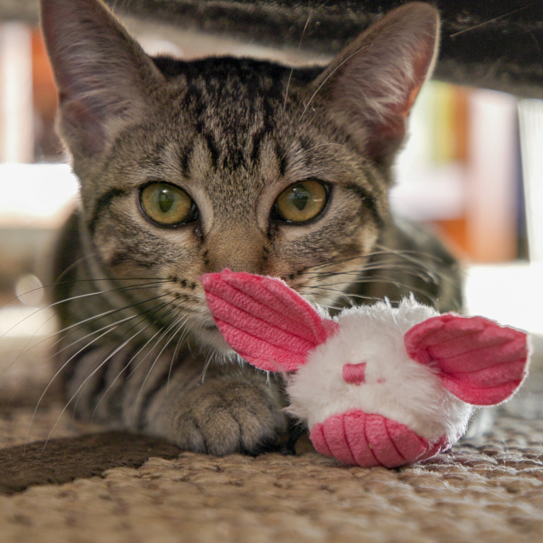 HuggleKats Dust Bunnies Cat Toys, 3 Pack