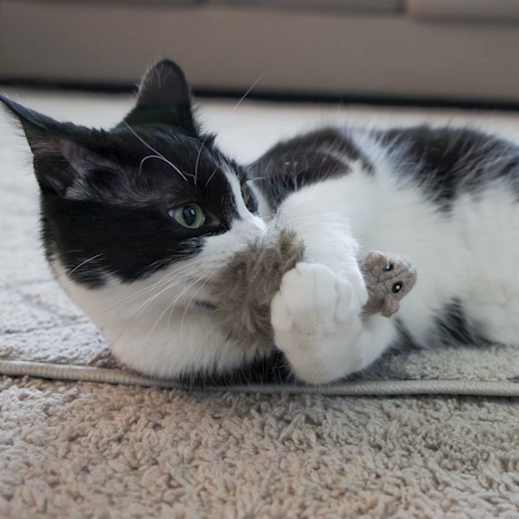 HuggleKats Wee Fellar Squirrelie Cat Toy