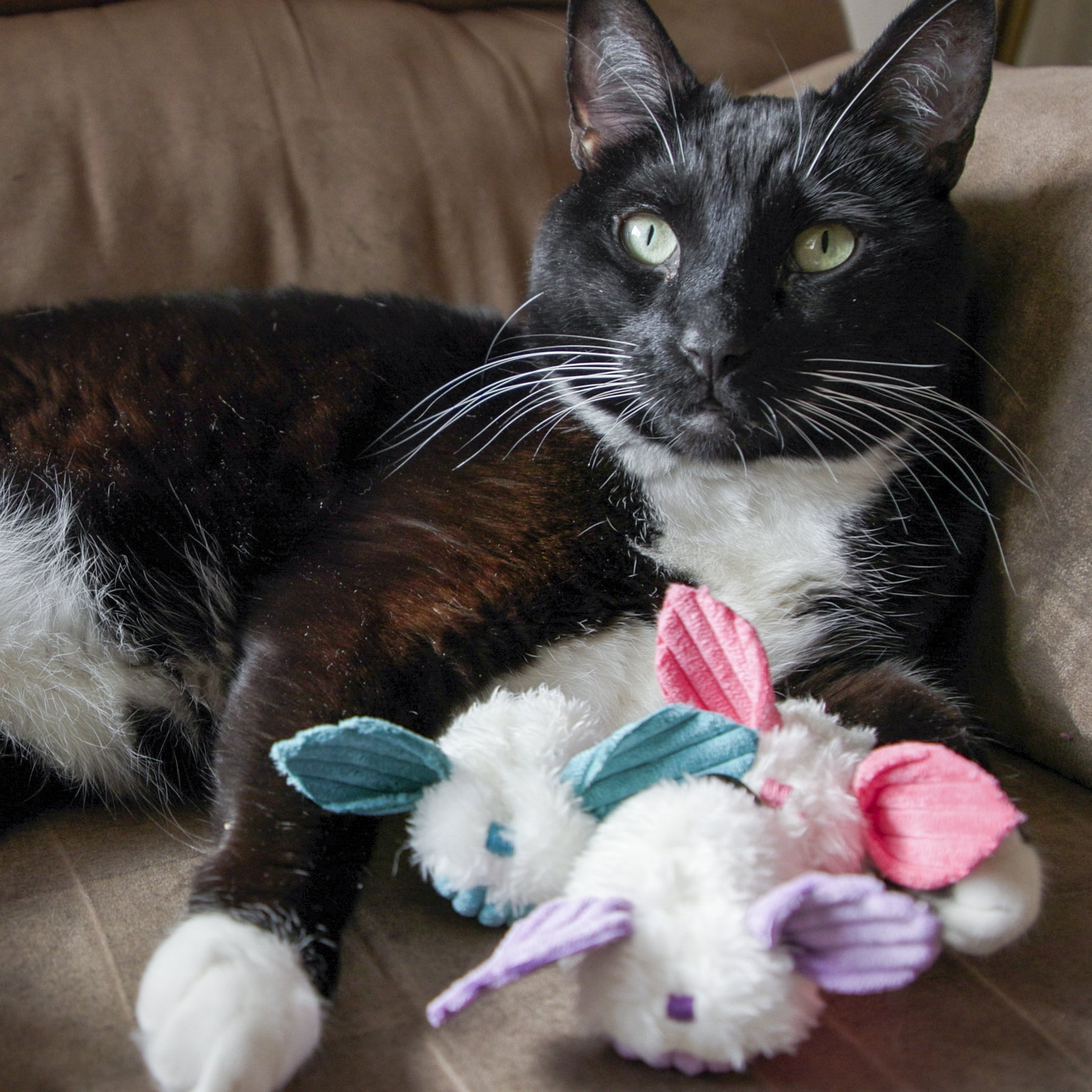 HuggleKats Dust Bunnies Cat Toys, 3 Pack