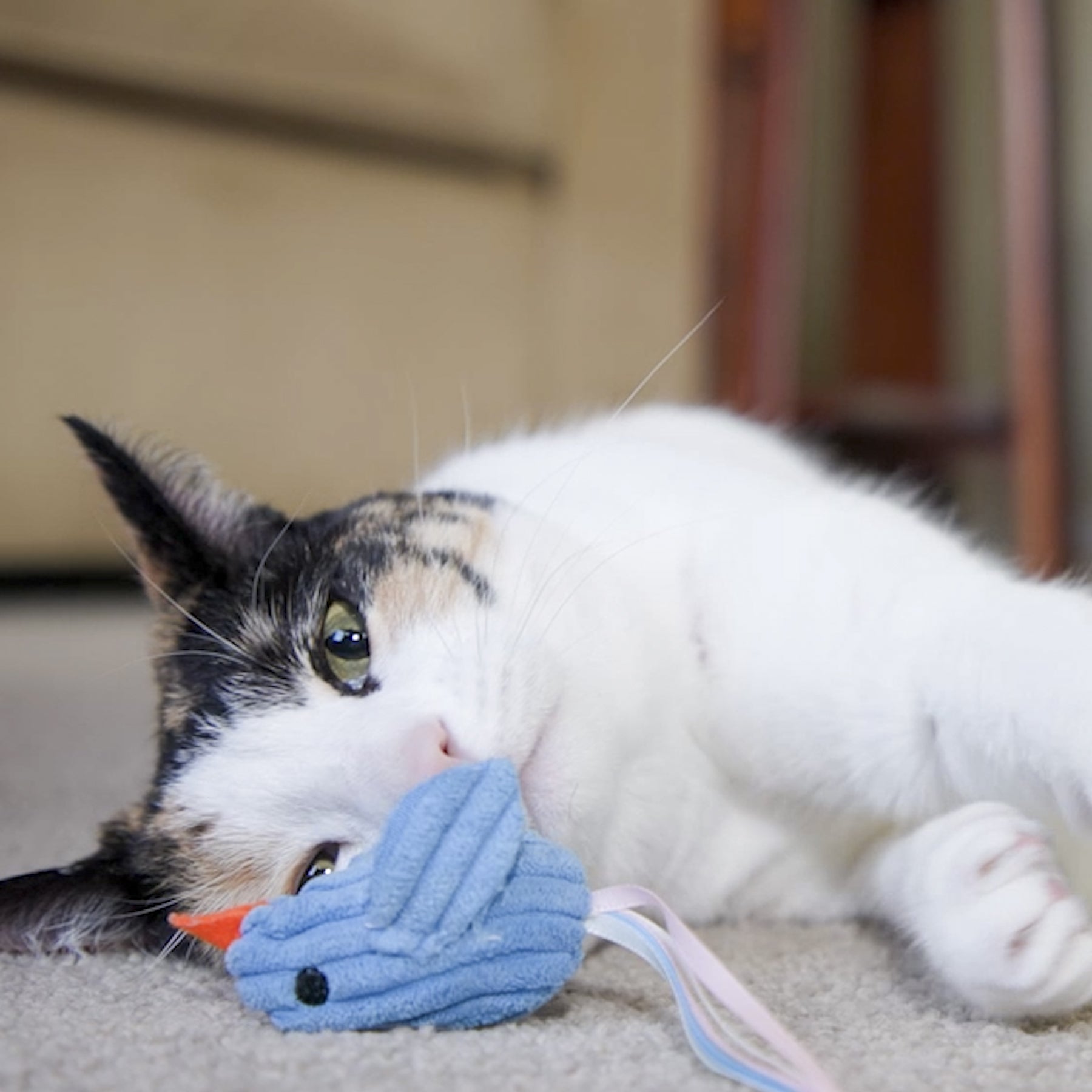 HuggleKats Chickies Cat Toys, 3 Pack