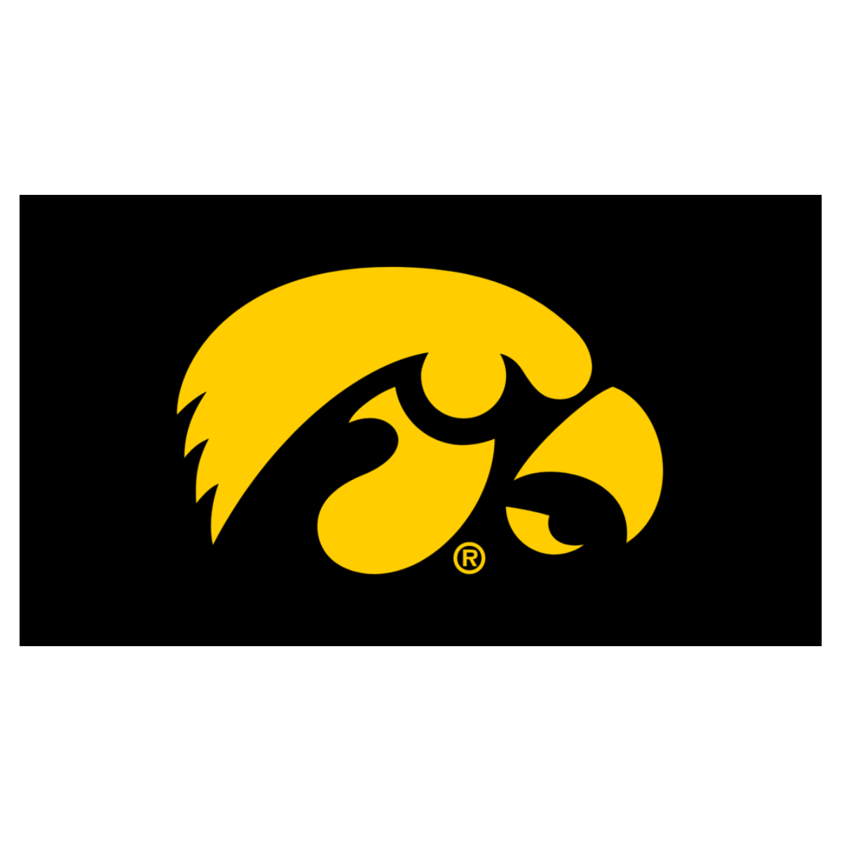 NCAA University of Iowa - Herky the Hawk Knottie Plush Dog Toy
