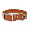 Sierra Sunrise Vegan Leather Dog Collar