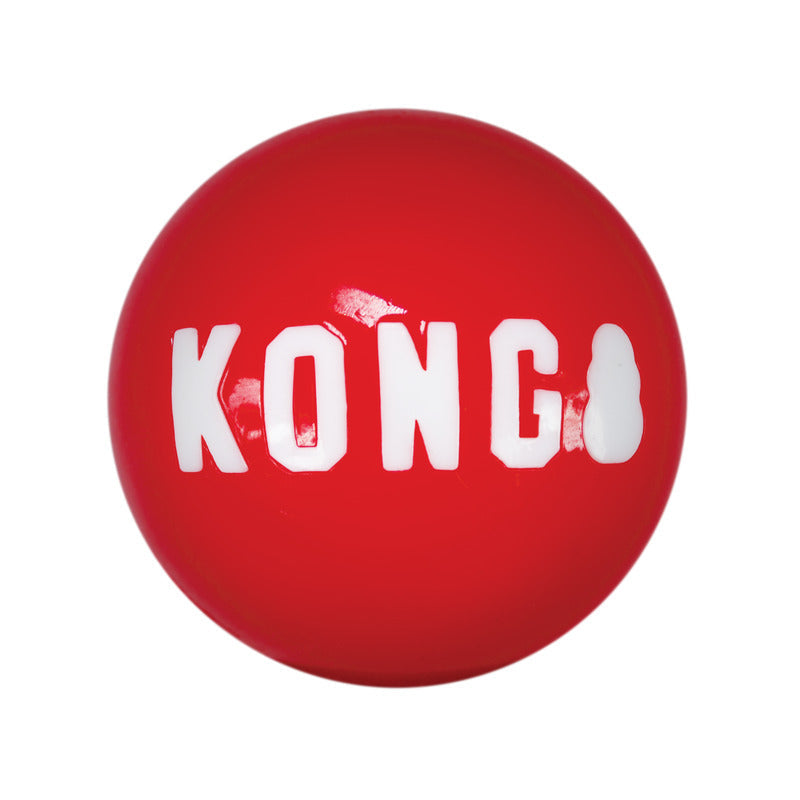 Kong Signature Balls (2pk) - HT Animal Supply