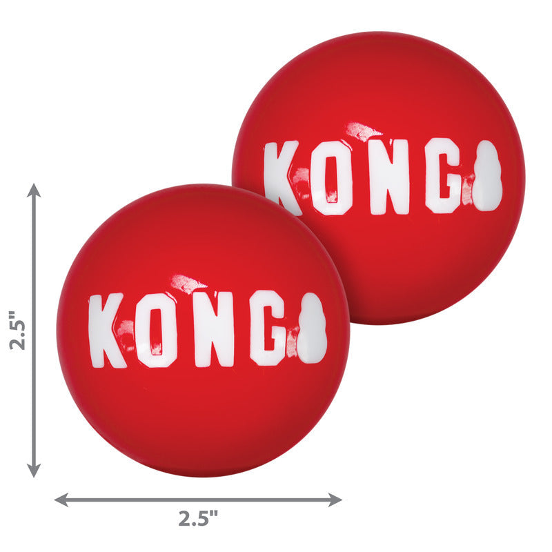 Kong Signature Balls (2pk) - HT Animal Supply