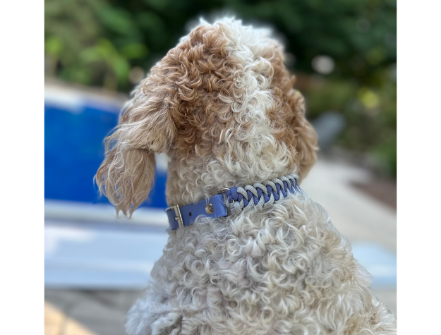 Fishtail Hand Braided Dog Collar in Lavender & Smoke
