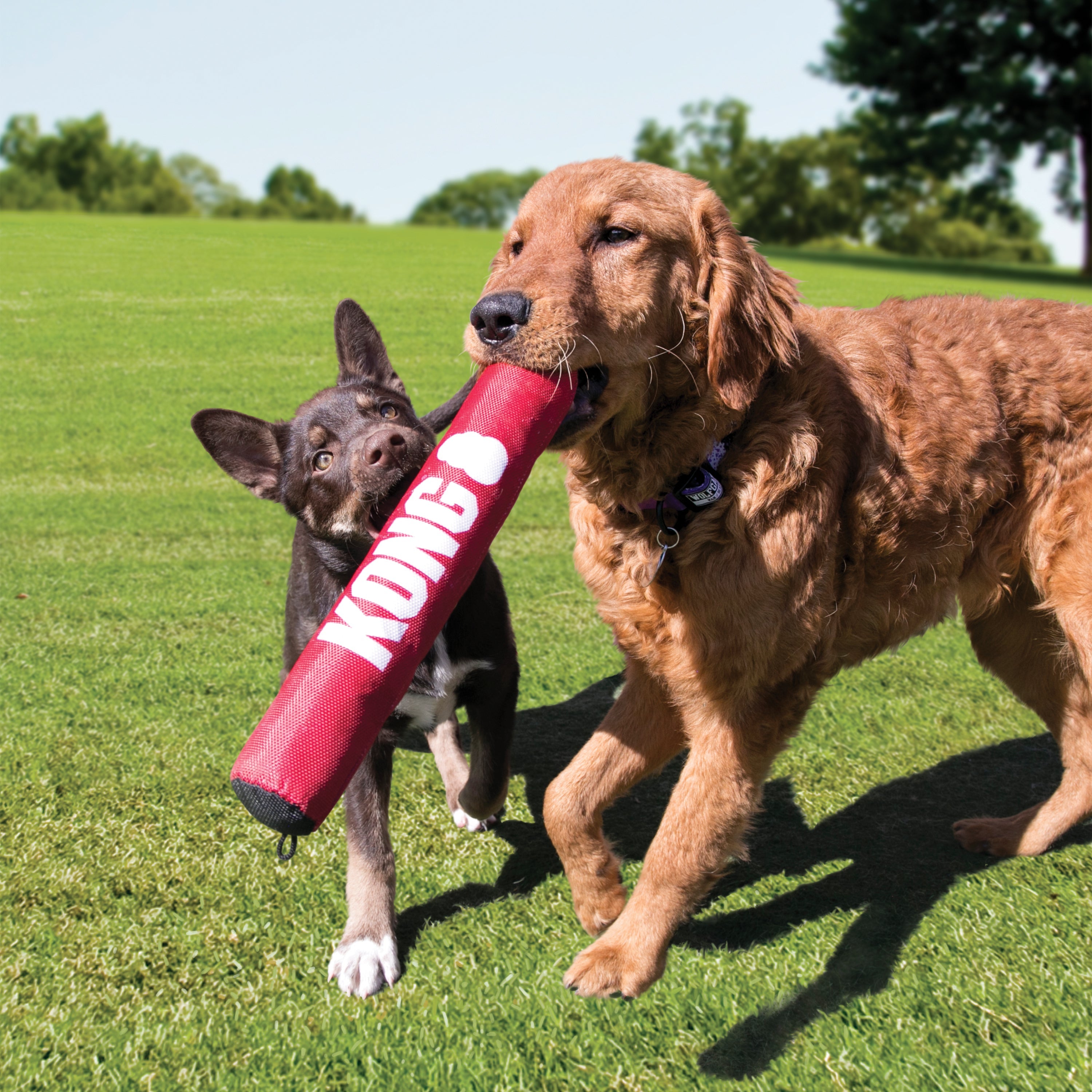 Kong Signature Stick - HT Animal Supply