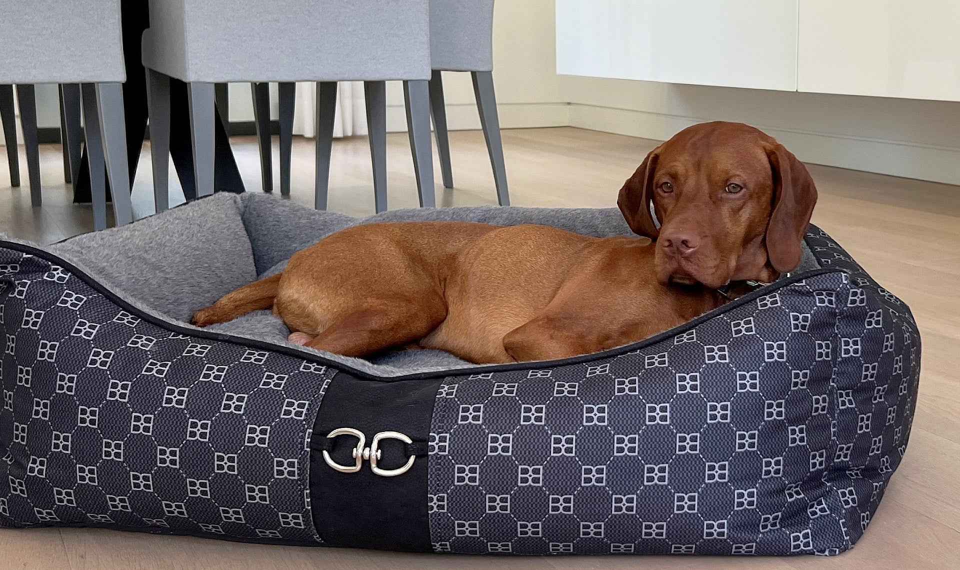 Signature Scoop Bed Signature Noir Black luxury dog bed with plush gray interior and monogram design.