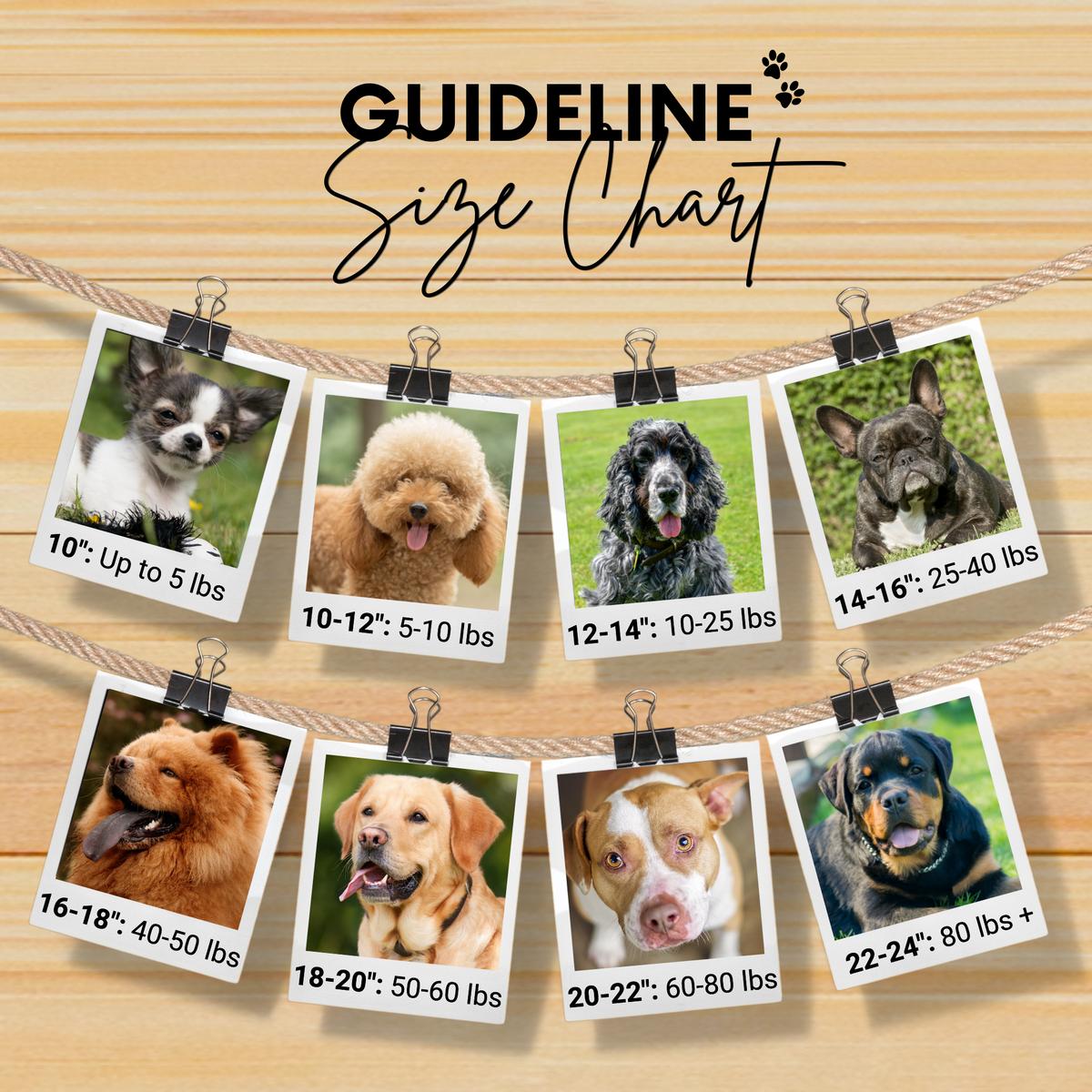 Saint Tropez Sambboho dog collar (with center D-ring)