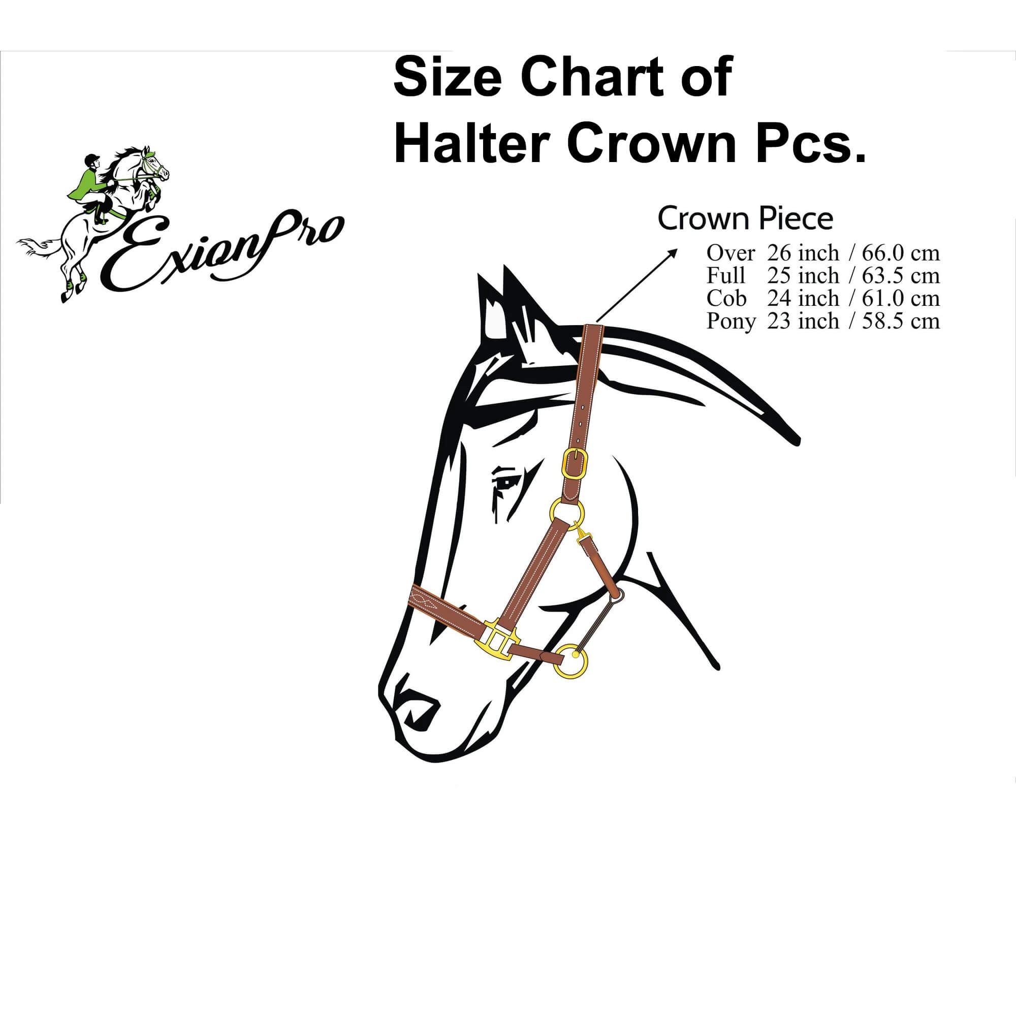 ExionPro Replacement Fancy Stitched Padded Leather Halter Crown Piece - HT Animal Supply