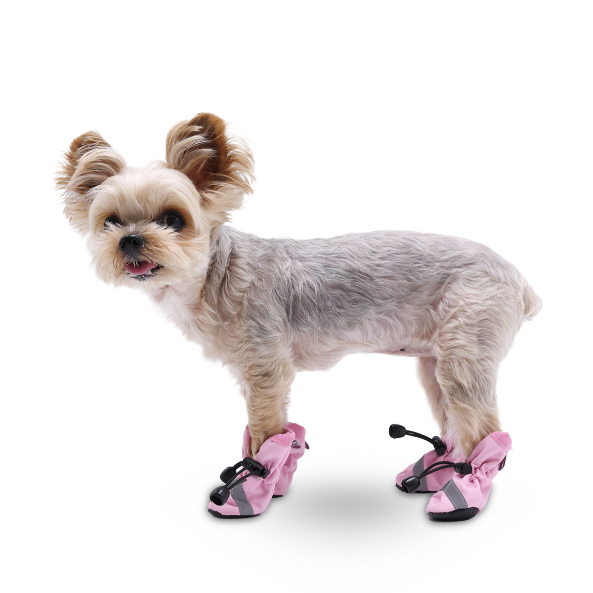 DOGO Slip-On Paws Dog Boots