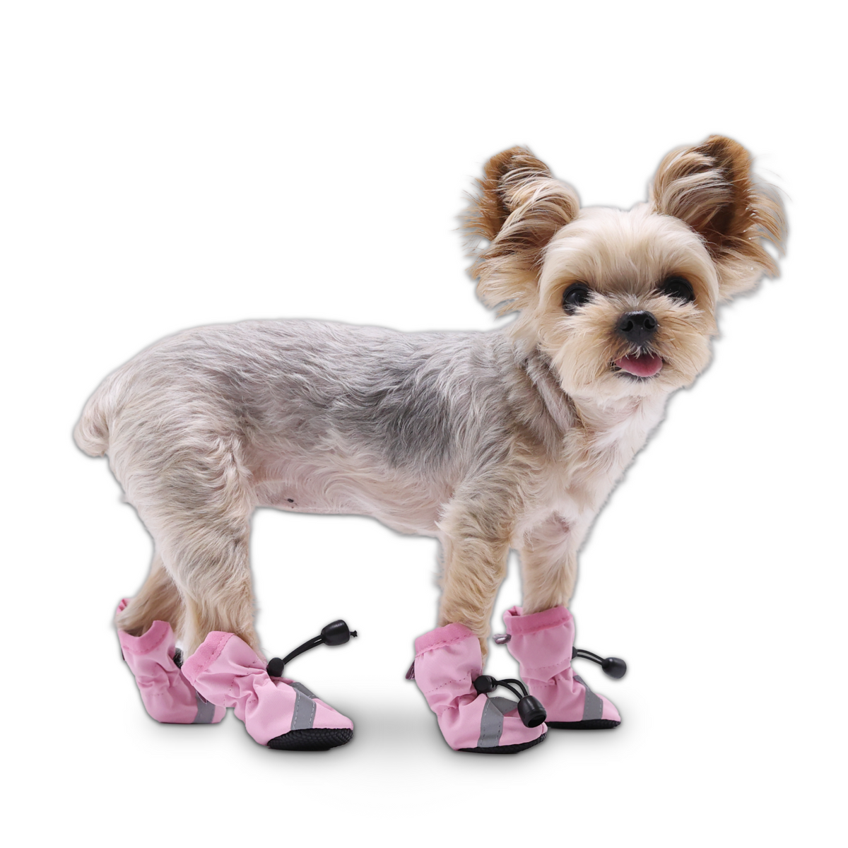 DOGO Slip-On Paws Dog Boots