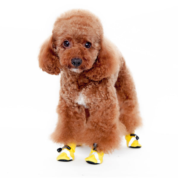 DOGO Slip-On Paws Dog Boots