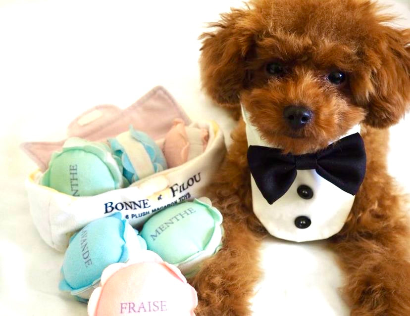 Bonne et Filou – Plush Macaron Squeaky Dog Toy Set