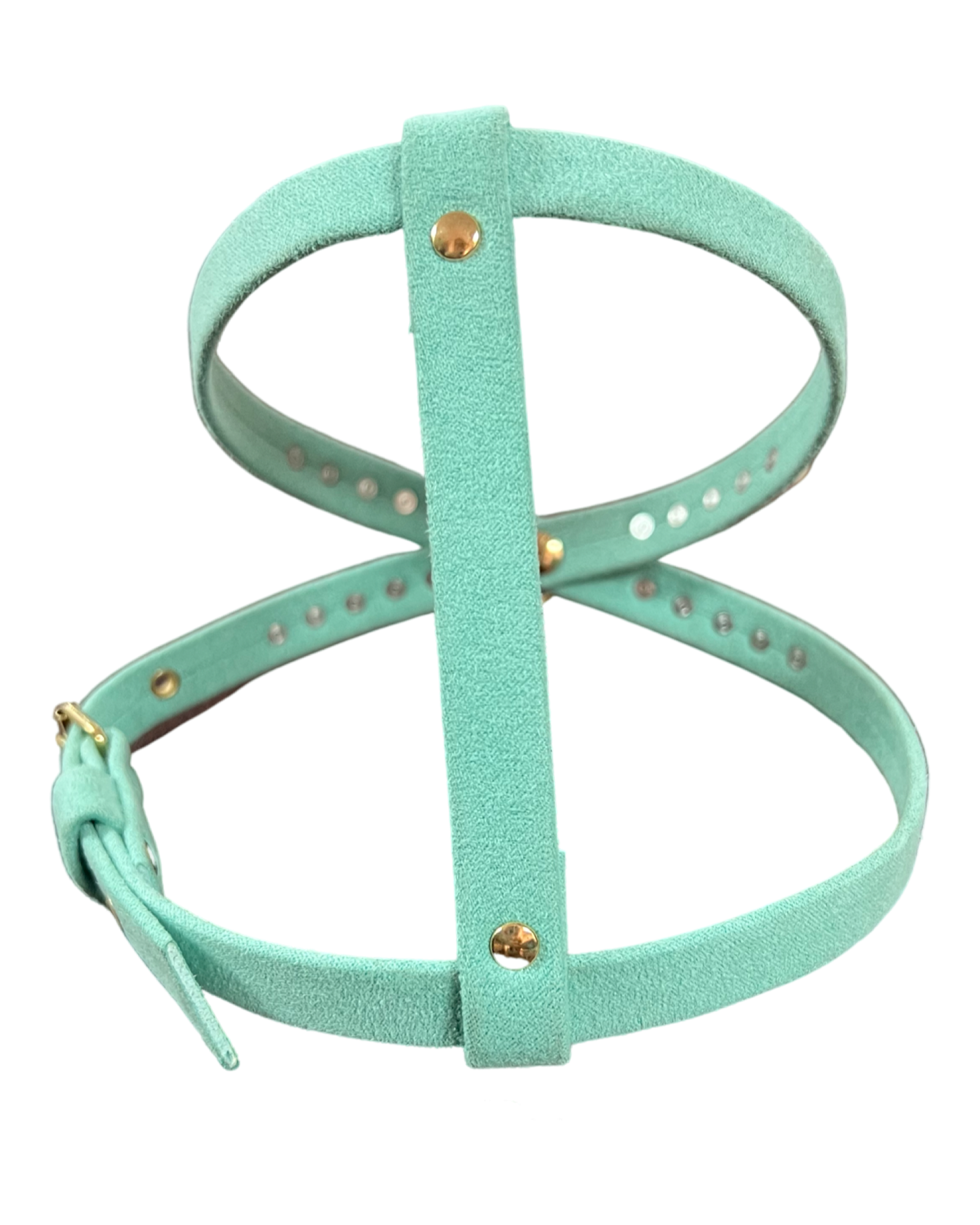 Fashion Dog Harness and Leash Set - Tiffany Blue with Pink and Pearls