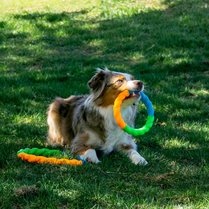 Kong Twistz High-Viz Ring - HT Animal Supply