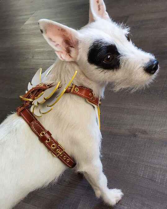 Bestia Hermes Leather Small to Medium Dog Harness