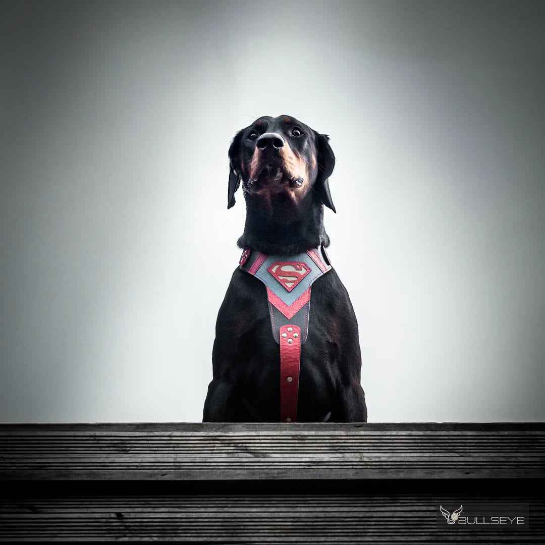 Bestia Superdog Leather Dog Harness